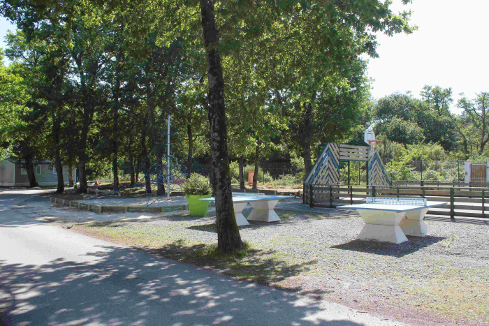 Camping - Capbreton - Aquitaine - La Pointe - Image #3