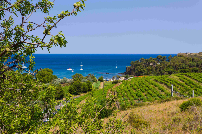 Camping - Torreilles - Languedoc-Roussillon - Le Marisol - Image #1