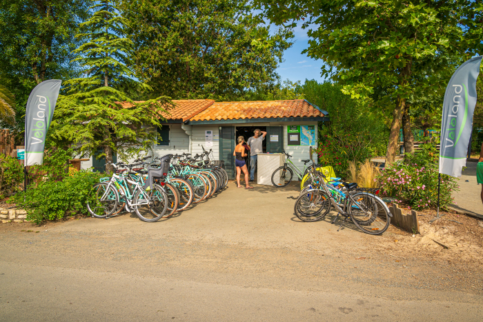 Camping - Saint-Georges-d'Oléron - Poitou-Charentes - Oléron Loisirs - Image #19