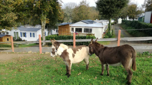 Camping Keromen - Saint-Évarzec