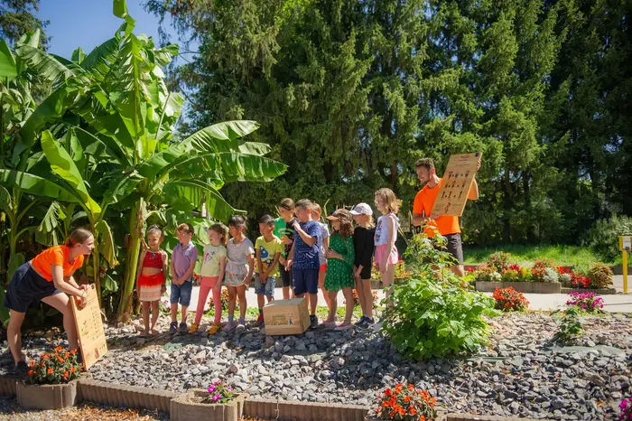 Un programme estival pour tous