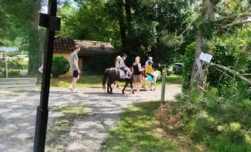 Des rendez-vous d'été pour tous