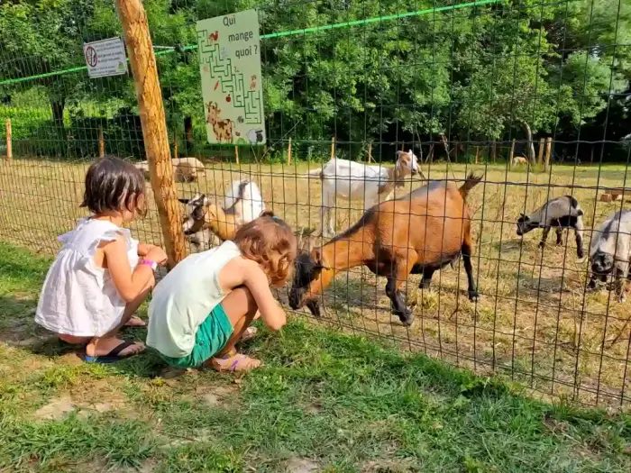 Des rendez-vous d'été pour petits et grands