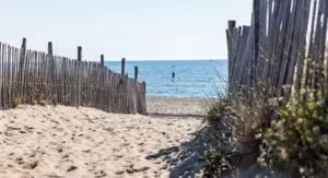 Des rendez-vous festifs pour tous les âges