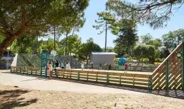 Des clubs et soirées pendant la saison