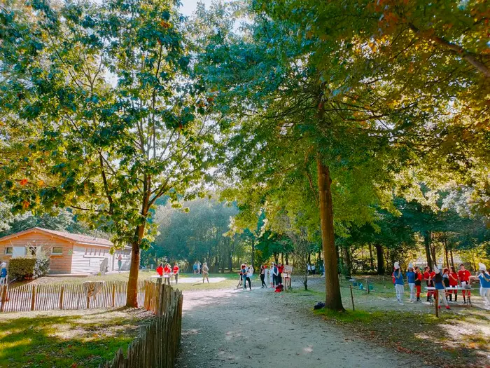 Un été rythmé pour petits et grands