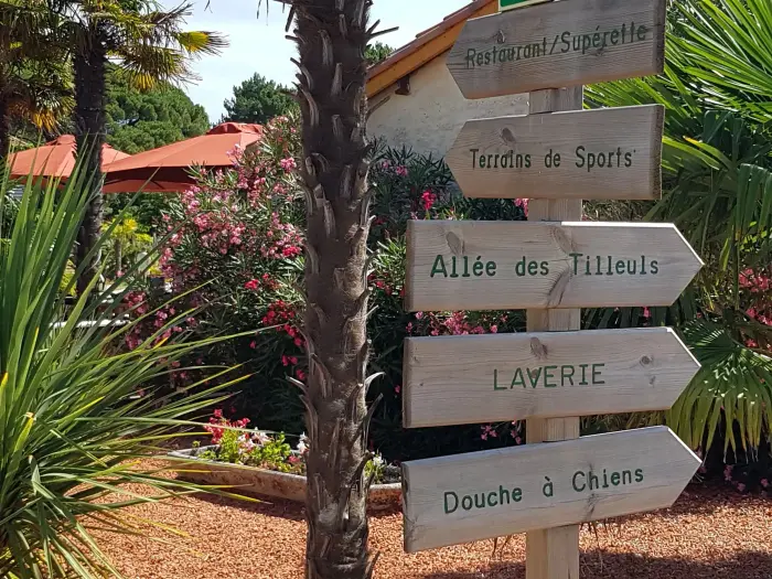 Un programme estival pour tous