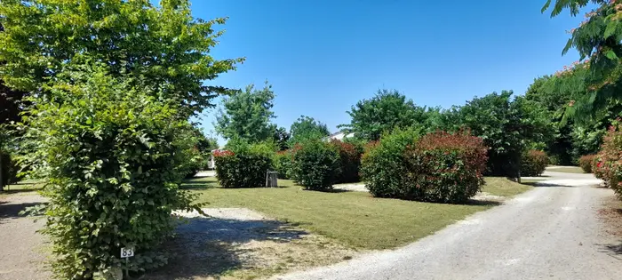 Des rendez-vous estivaux conviviaux