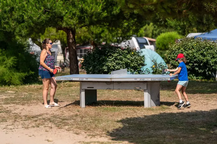 Les animations proposées