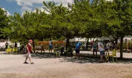 Des soirées d'été et clubs enfants