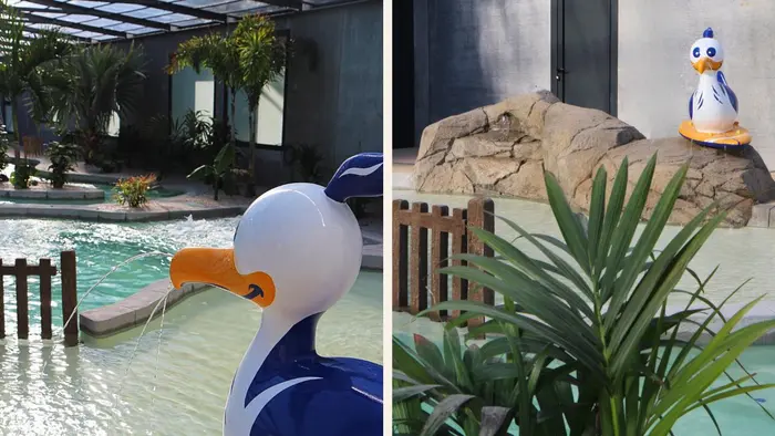 Une baignade couverte avec rivière