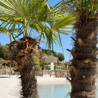 Lagon tropical et baignade chauffée