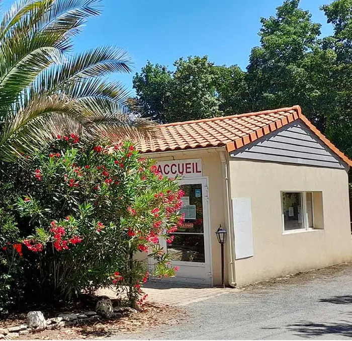 Une piscine d'été avec pataugeoire