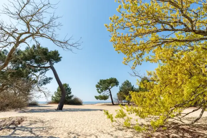 Plages du bassin et baignade alentour