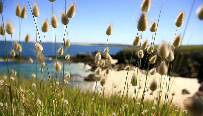 Plages et nautisme autour de la ria
