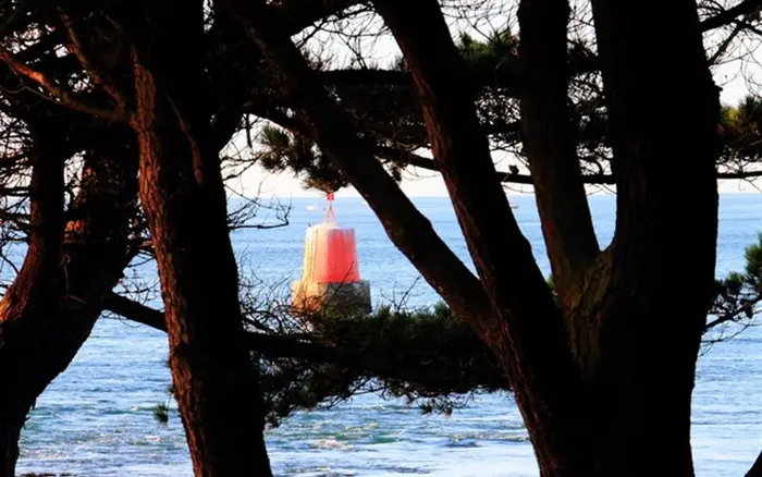 Des plages accessibles autour du camping