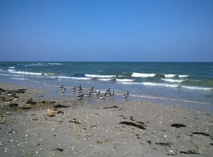 Plages proches et horizon insulaire