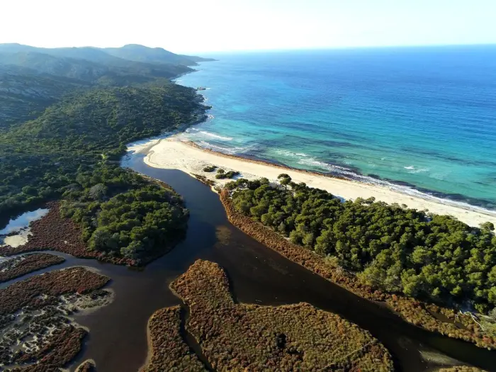 Saleccia, grande plage de sable blanc