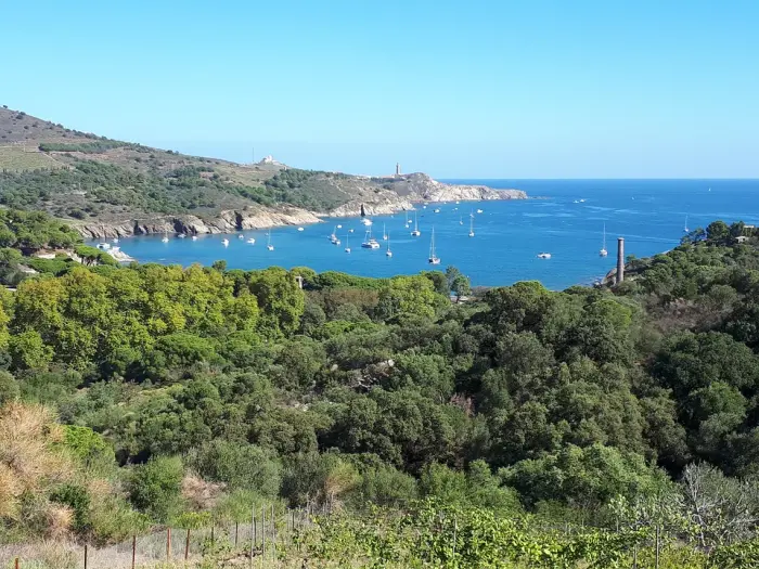 Plusieurs plages sur le littoral proche