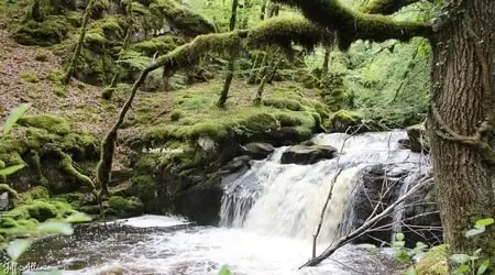 Lac, plages et eaux naturelles
