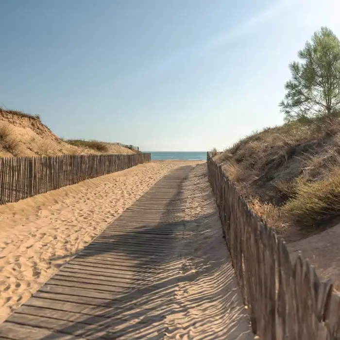 Cap sur les plages vendéennes