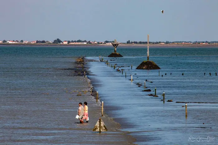Plage, marais et sorties sur l'eau
