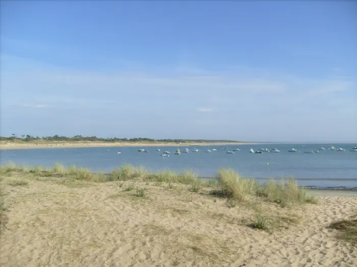 Plages proches et ambiance nautique
