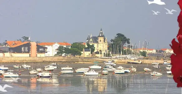 Plages et balades nautiques aux alentours