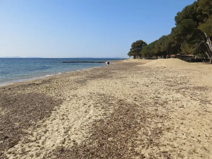 Les plages du littoral tout autour