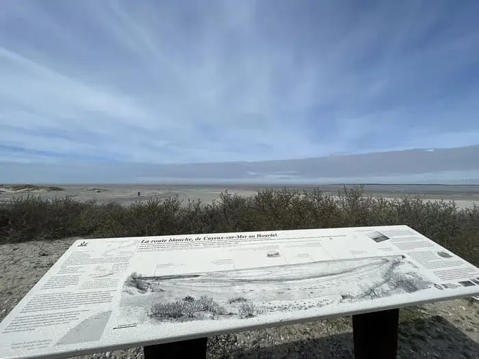 Plages sauvages et horizons camarguais