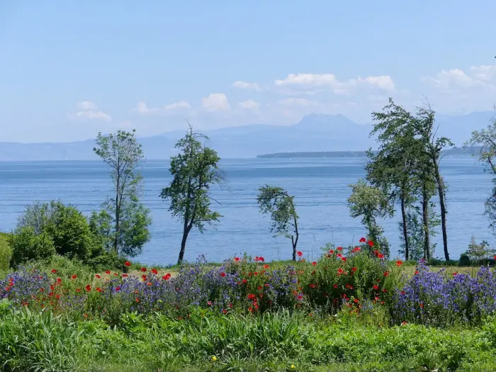 Les plages du Léman à proximité