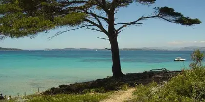 Plages et glisse autour de Giens
