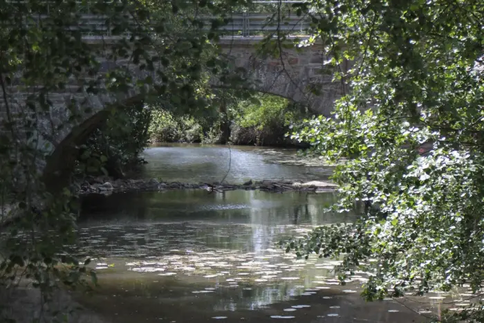 Une plage au bord de l'Erdre