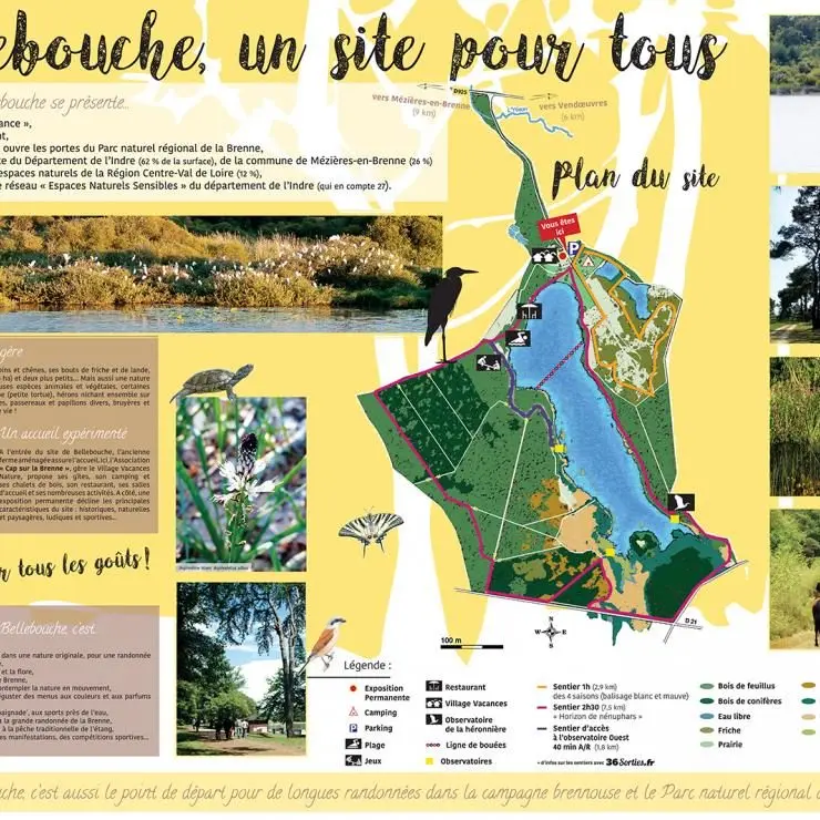 Plan du camping Camping Bellebouche