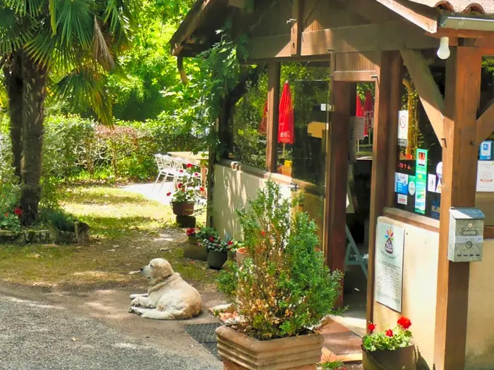 Restaurant et terrasse en saison