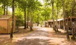 Restaurant, bar et snack sur place