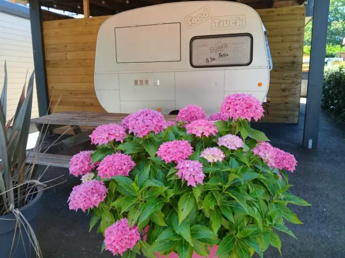 Restauration simple en pleine saison