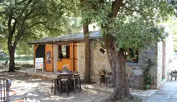 Bar et restauration sur place