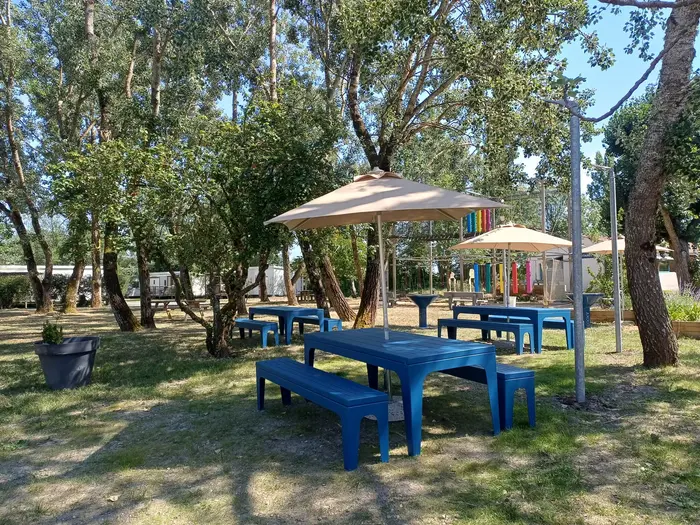 Restaurant, snack et plats à emporter