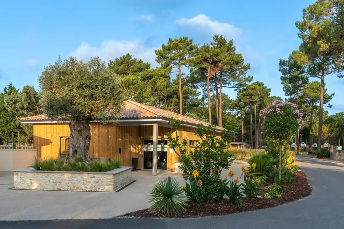 Des pauses gourmandes sans quitter le camping