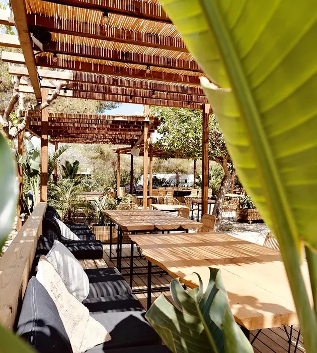 Restaurant, bar et restauration sur place