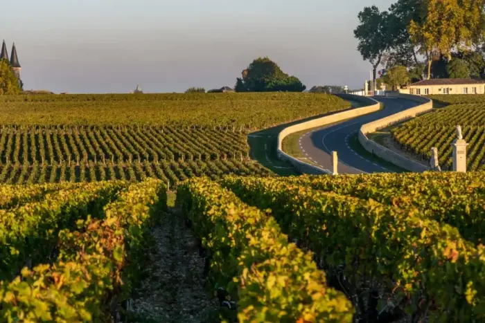 Bordeaux