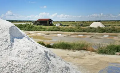 Marais salants d’Olonne