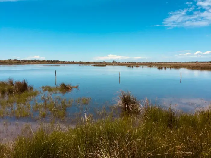 Entre grandes villes et nature provençale