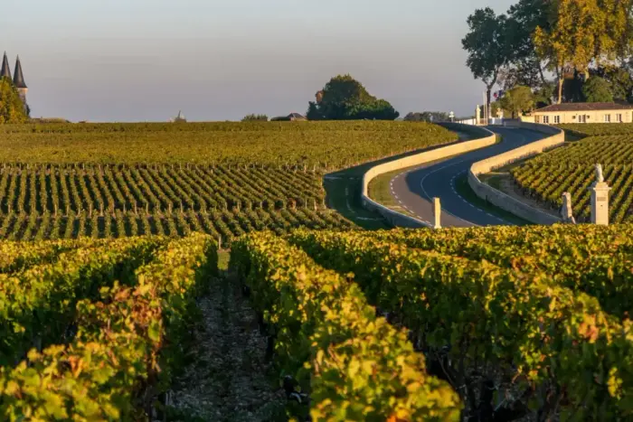 Bordeaux