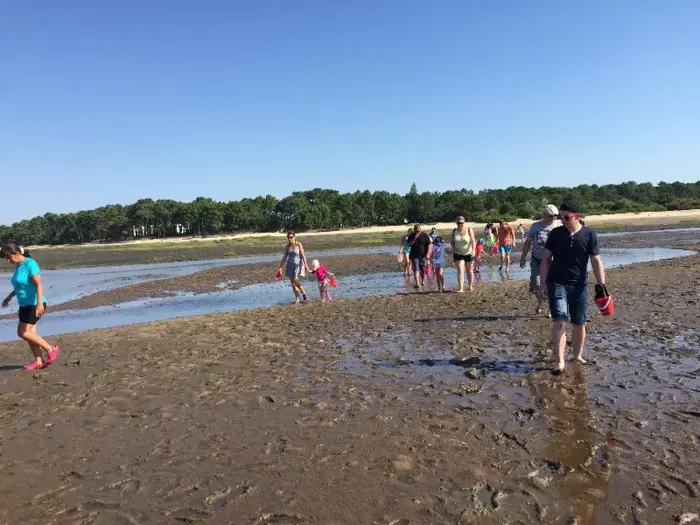 Le bassin d'Arcachon à explorer autour