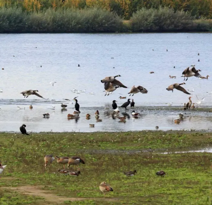 Le bassin d'Arcachon à explorer autour