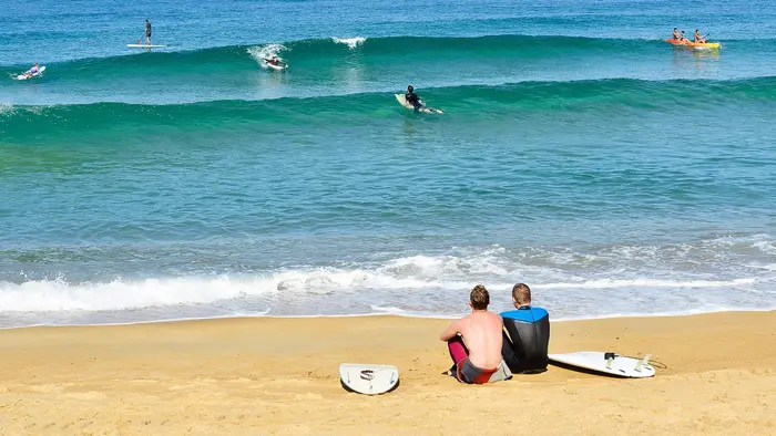Forêt landaise, plages et traditions