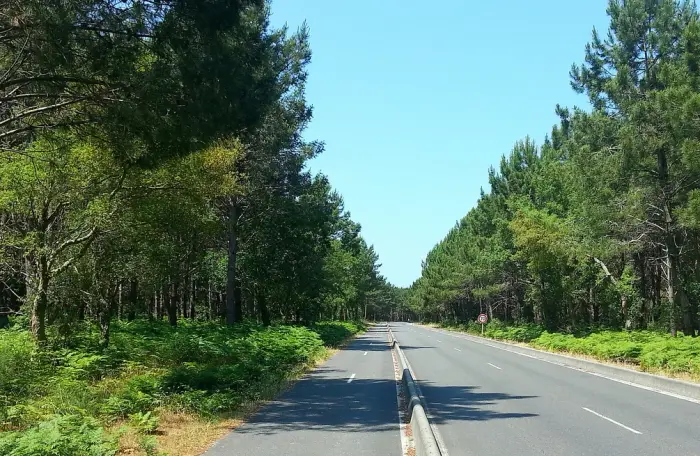 Entre stations balnéaires et nature landaise