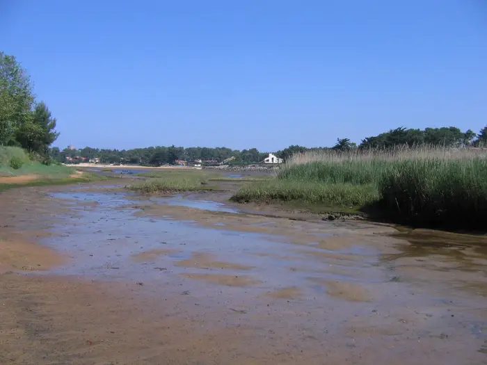 Plage du courant